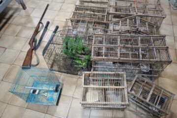 Material apreendido pela PM. Foto: Polícia Militar