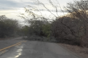 BR-030, entre os trevos da Lapa e Iuiu. Foto: encaminhada por leitor