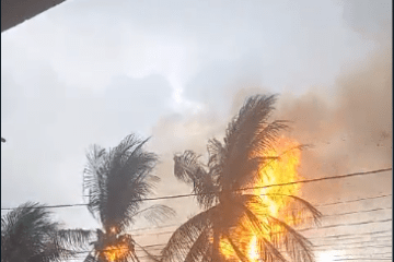 Árvores pegando fogo