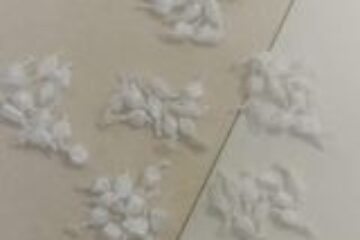 Droga apreendida em Caculé. Foto: Polícia Militar