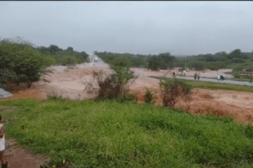 BA-262. Reprodução rede social