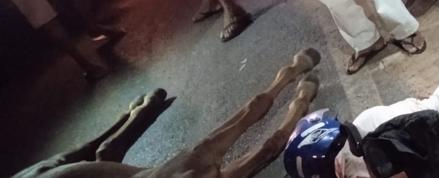 Acidente na BA-161, em Carinhanha. Reprodução rede social