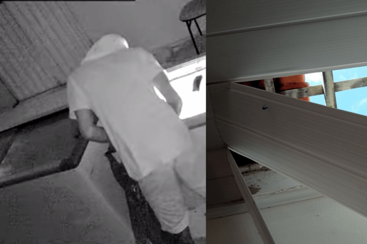 Criminoso invadindo o açaí.