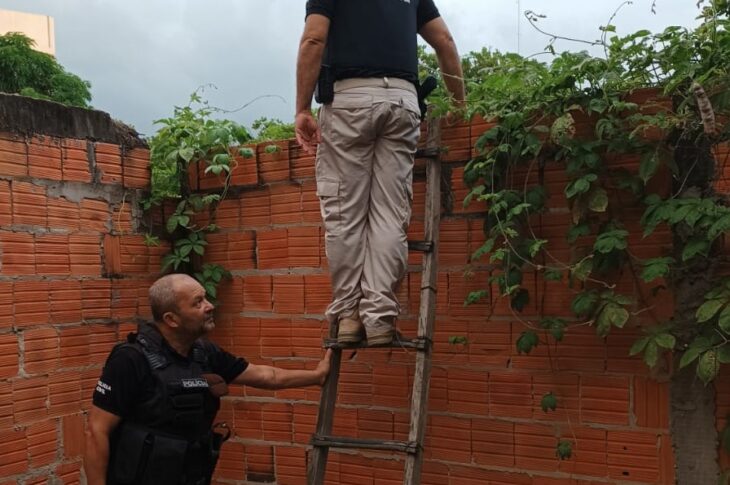 Polícia realizando operação. Foto: Polícia Civil