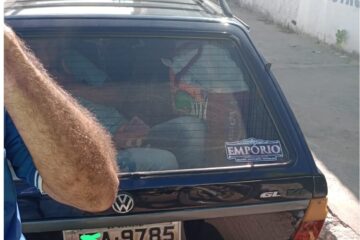 Veículo flagrado em Guanambi, com passageiro no compartimento de carga. Foto: SMTRan