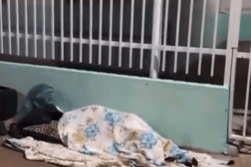 Paciente dormindo na fila