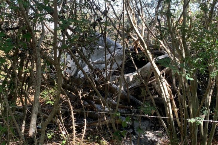 Carro desce ribanceira e pega fogo na BR-030. Foto: encaminhada ao FV