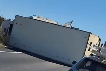 Carreta tombada na BR-349. Foto: rede social