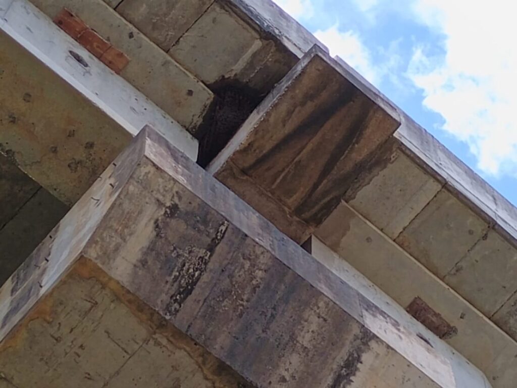 Enxame de abelhas na ponte. Foto: divulgação