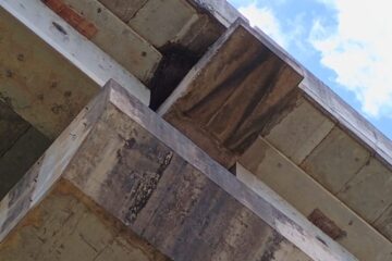 Enxame de abelhas na ponte. Foto: divulgação