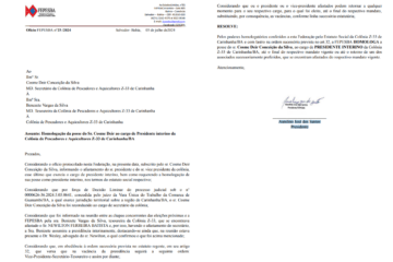 Decisão da federação