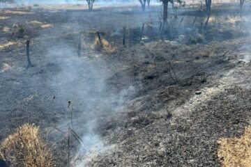 Área consumida pelo fogo. Foto: Ana Clara