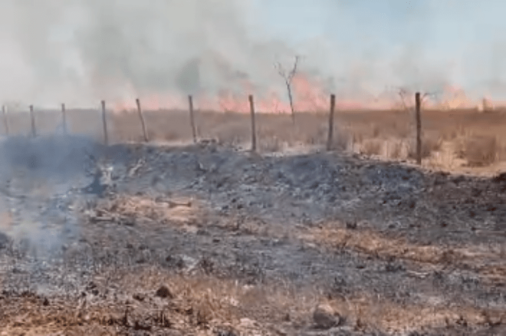 Roça sendo consumida pelo fogo