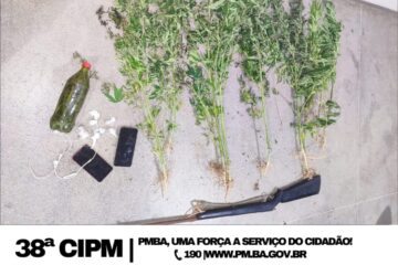 Material apreendido. Foto: Polícia Militar