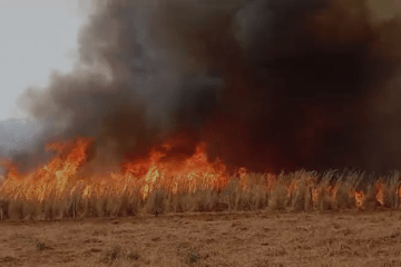 Fogo em Riacho de Santana