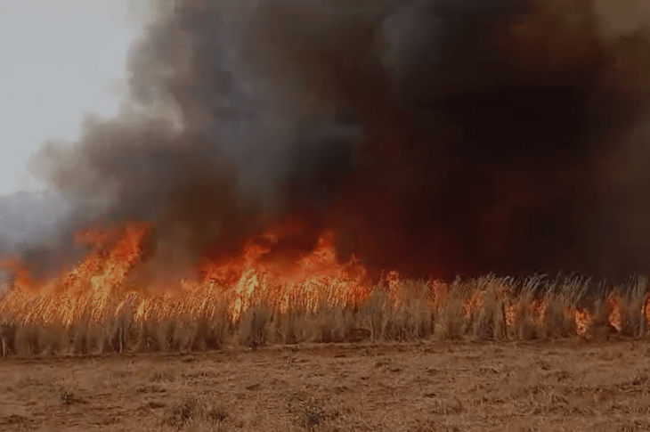 Fogo em Riacho de Santana