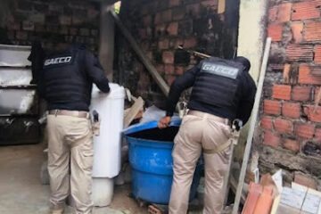 Operação Lobo Mau. Foto: Divulgação / MP-BA