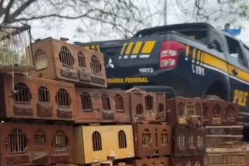 Material apreendido em Palmas de Monte Alto. Foto: PRF