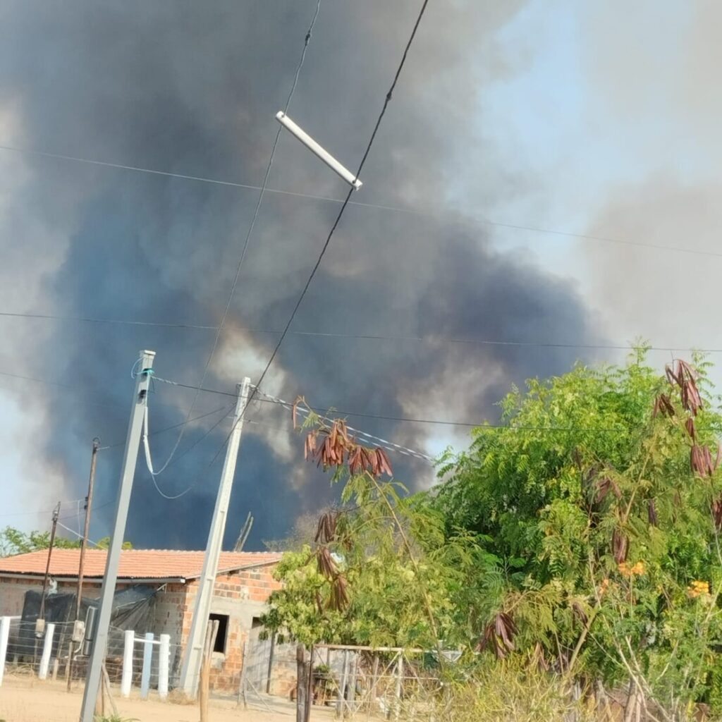 Fogo atinge área em Ilha de Zezé. Foto: leitor da Folha do Vale