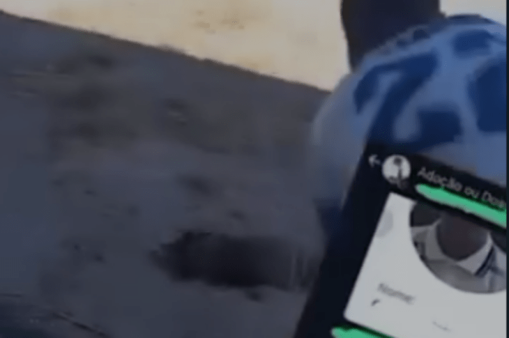 Ex-aluno agredindo cachorro