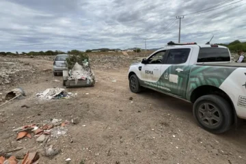 Veículo apreendido pelo órgão. Foto: Secretaria de Meio Ambiente