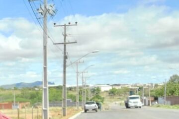 Pé de amêndoa removido.