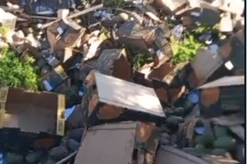 Carga de manga espalhada na pista