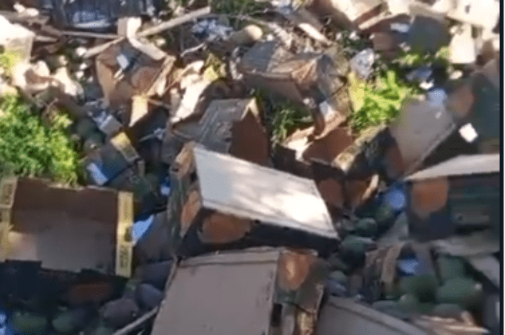 Carga de manga espalhada na pista