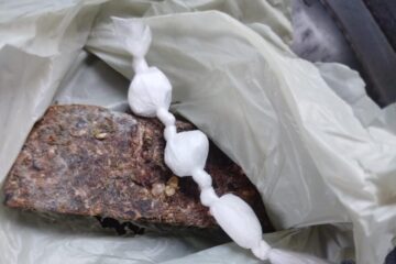 Material apreendido pela polícia. Foto: Polícia Militar