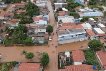 Espinosa submersa. Foto: divulgação