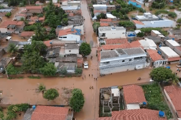 Espinosa submersa. Foto: divulgação