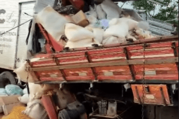 Na colisão frontal entre dois caminhões na BA-156, deixa três pessoas mortas. Foto: reprodução internet.