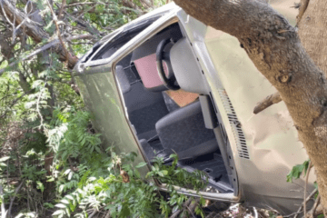 Motorista bate carro em árvore. Foto: rede social