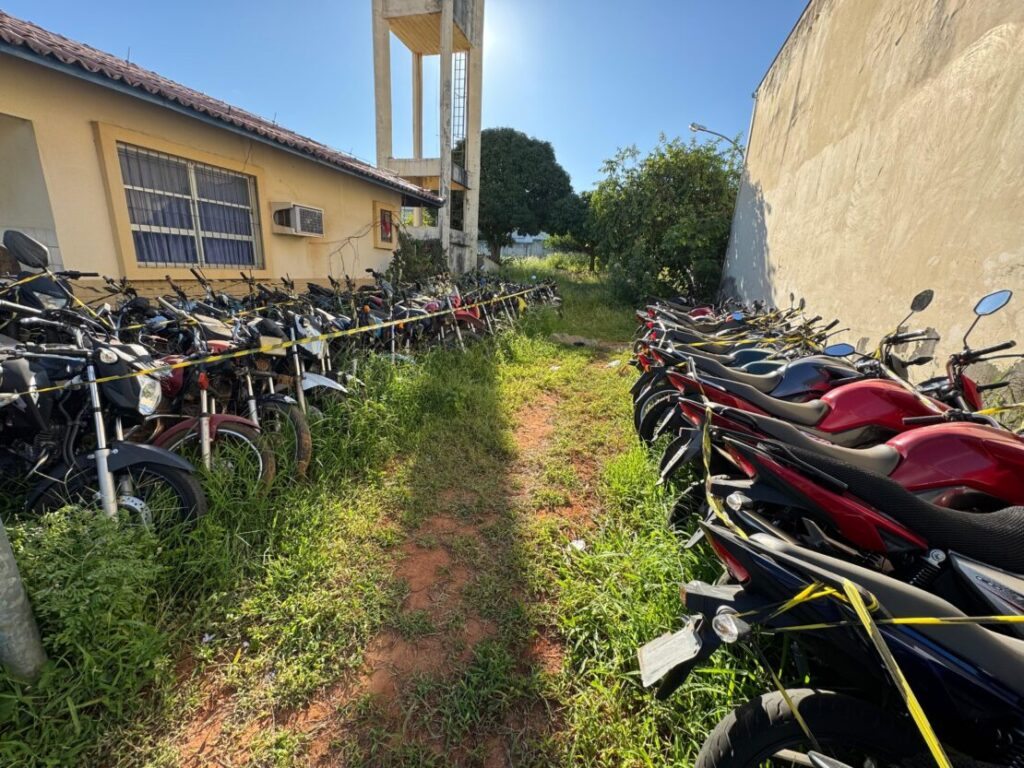 Veículos para serem periciados. Foto: divulgação