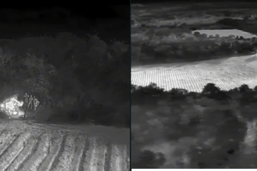 Área de cultivo de droga. Foto: Polícia Militar