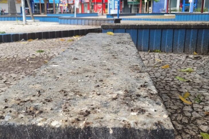 Fezes de pombo no centro de Guanambi.