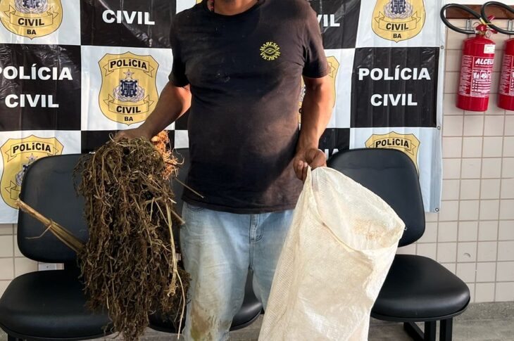 Soney foi preso furtando pés de maconha