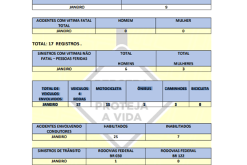 BALANÇO OPERACIONAL DOS REGISTROS DE ACIDENTES. Foto: SMTran