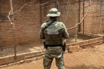 Animais resgatados. Foto: CIPPA/LENÇÓIS.