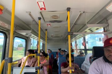 Cirurgias realizadas