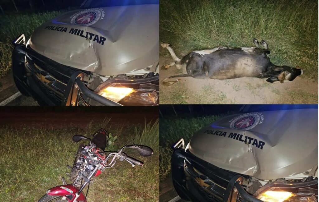 Veículos envolvidos no acidente. Foto: Polícia Militar
