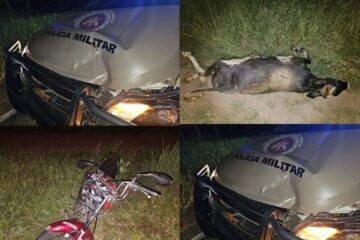 Veículos envolvidos no acidente. Foto: Polícia Militar