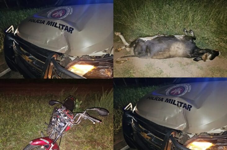 Veículos envolvidos no acidente. Foto: Polícia Militar