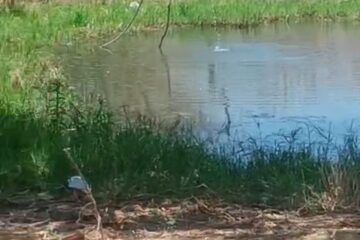 Malhada moradores denunciam uso de água pública para tanques de peixe em Parateca