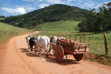 Homem morre após ser atropelado por carro de boi na zona rural de Riacho de Santana