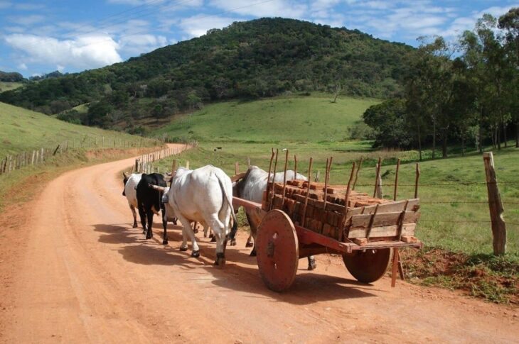 Homem morre após ser atropelado por carro de boi na zona rural de Riacho de Santana