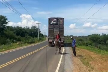Fios de alta tensão baixos geram risco para caminhões na BR-342, em Serra de João Alves, Malhada