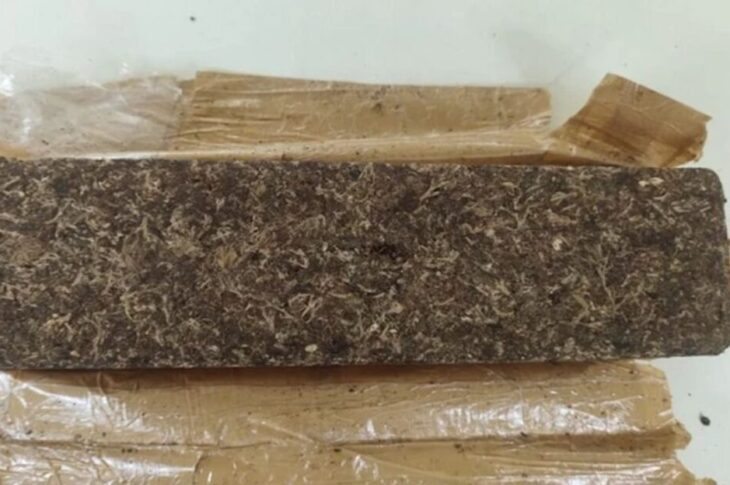 Fiscalização na BR-030 termina com apreensão de maconha em ônibus de turismo